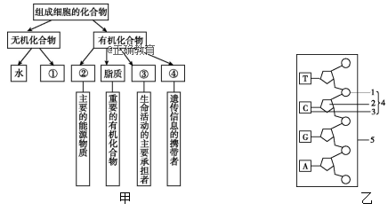 www.xiangpi.com