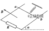 www.xiangpi.com