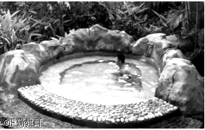 www.xiangpi.com