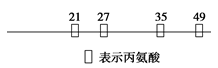 www.xiangpi.com