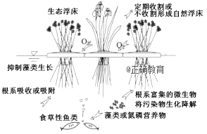 www.xiangpi.com