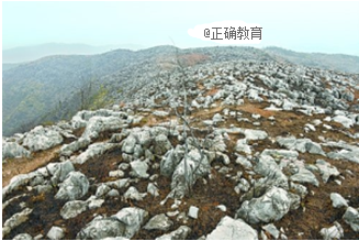www.xiangpi.com