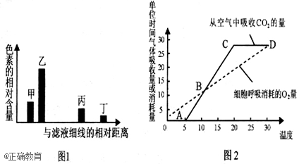 www.xiangpi.com