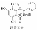 www.xiangpi.com