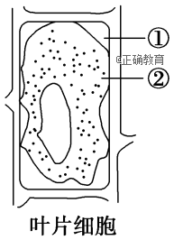 www.xiangpi.com