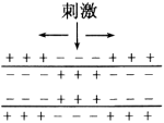 www.xiangpi.com
