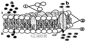 www.xiangpi.com