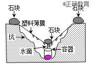 www.xiangpi.com