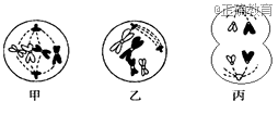 www.xiangpi.com