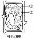 www.xiangpi.com