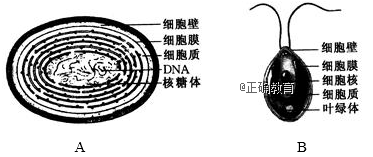www.xiangpi.com