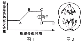 www.xiangpi.com