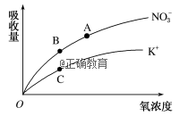 www.xiangpi.com