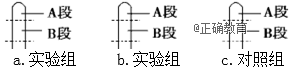 www.xiangpi.com