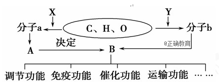 www.xiangpi.com