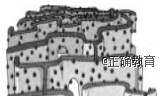 www.xiangpi.com