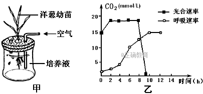 www.xiangpi.com