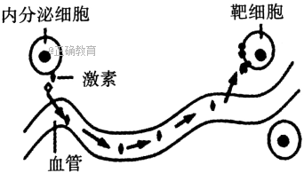 www.xiangpi.com