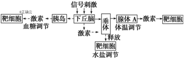 www.xiangpi.com