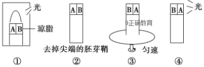 www.xiangpi.com