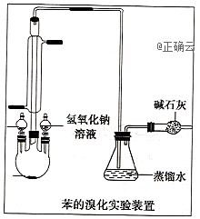 实验室用下图装置制取少量溴苯.试填写下列空白.