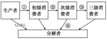 www.xiangpi.com
