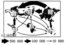www.xiangpi.com