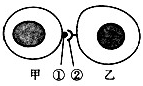 www.xiangpi.com