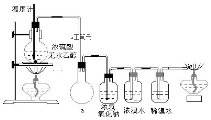 www.xiangpi.com