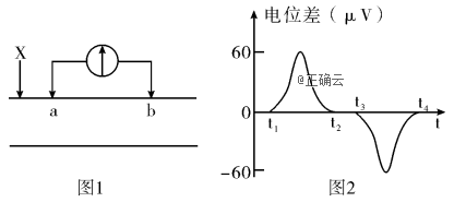 www.xiangpi.com