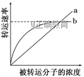 www.xiangpi.com