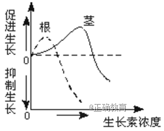 www.xiangpi.com