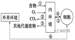 www.xiangpi.com
