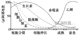 www.xiangpi.com