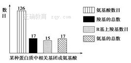 www.xiangpi.com