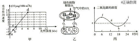 www.xiangpi.com