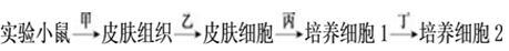 www.xiangpi.com