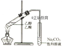 www.xiangpi.com