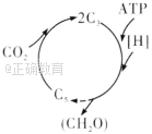 www.xiangpi.com