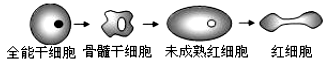 www.xiangpi.com