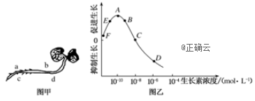 www.xiangpi.com