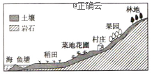 www.xiangpi.com