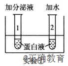 www.xiangpi.com