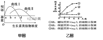 www.xiangpi.com