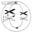 www.xiangpi.com
