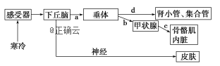 www.xiangpi.com