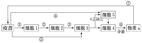 www.xiangpi.com
