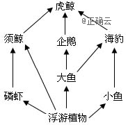 www.xiangpi.com
