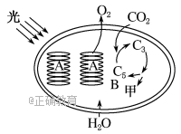 www.xiangpi.com