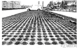 www.xiangpi.com